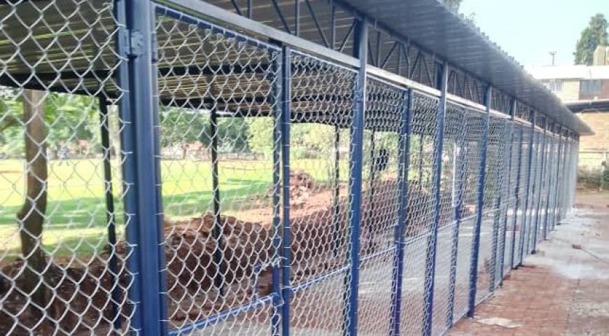 5 Reasons You Need A Fence Around Your Property in zimbabwe
